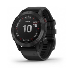 Garmin Fenix 6 Pro Standard