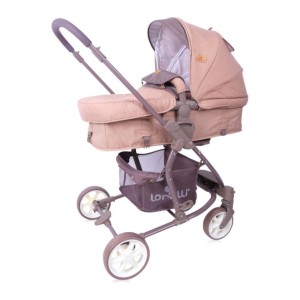 Lorelli Aster Lorelli Aster