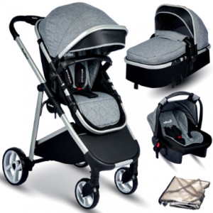 Rose Mose 605 Rose Mose 605