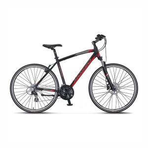 Mosso Legarda 21-Vites