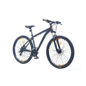 Corelli Zoi 2.2 24-Vites